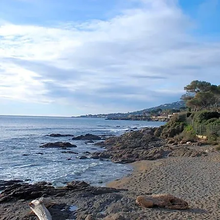 La Javanaise